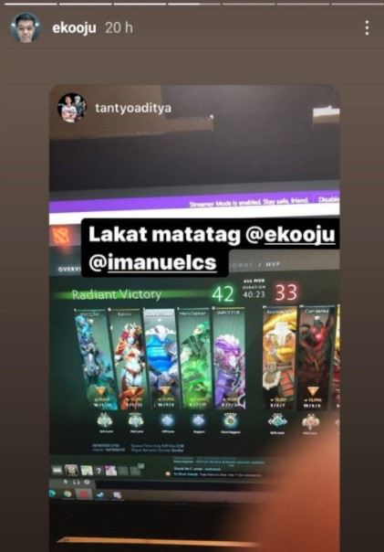 Pro Player ML Dota 2