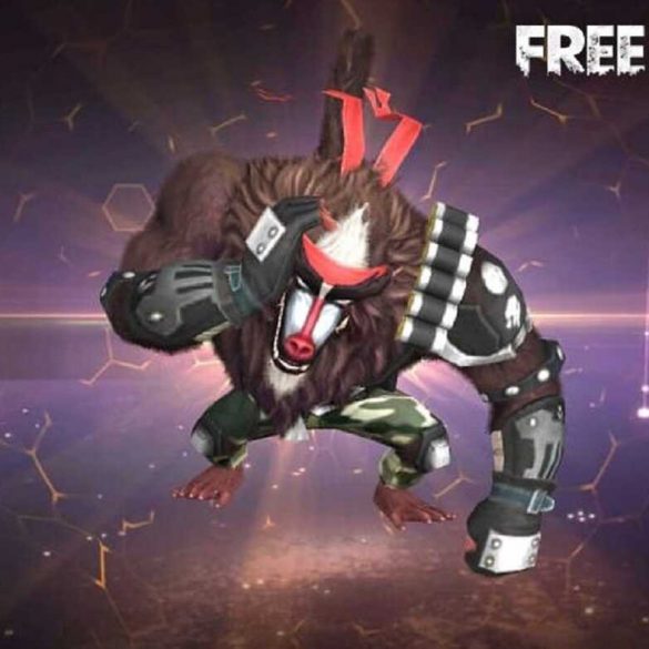 Bug Reward Dog Tag Free Fire (FF) Telah Diperbaiki! | SPIN Esports