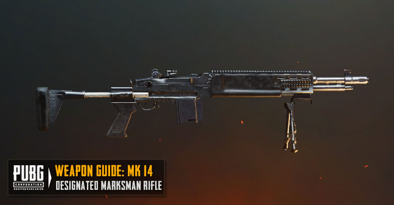 Sniper MK14 PUBGM