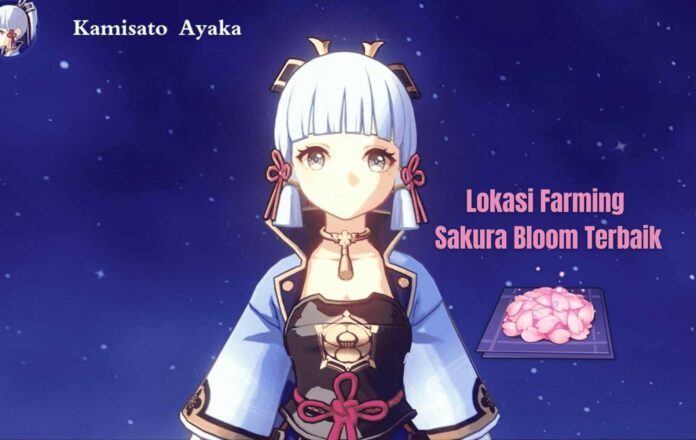 Lokasi Sakura Bloom Ayaka Lokasi Sakura Bloom Ayaka