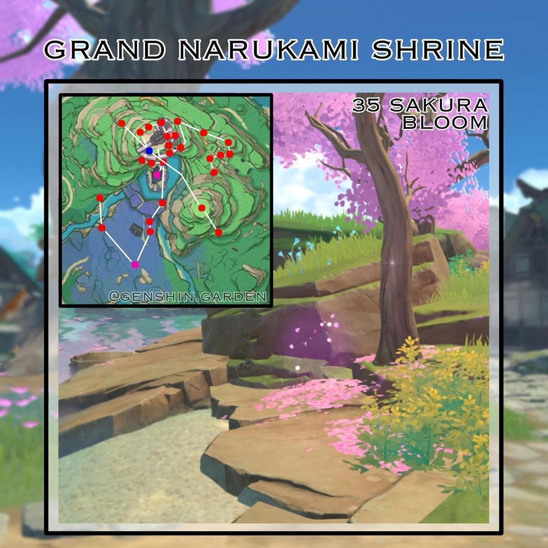 6 Lokasi Terbaik Untuk Farming Sakura Bloom di Genshin Impact