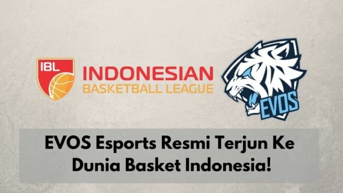 EVOS Basket EVOS Basket