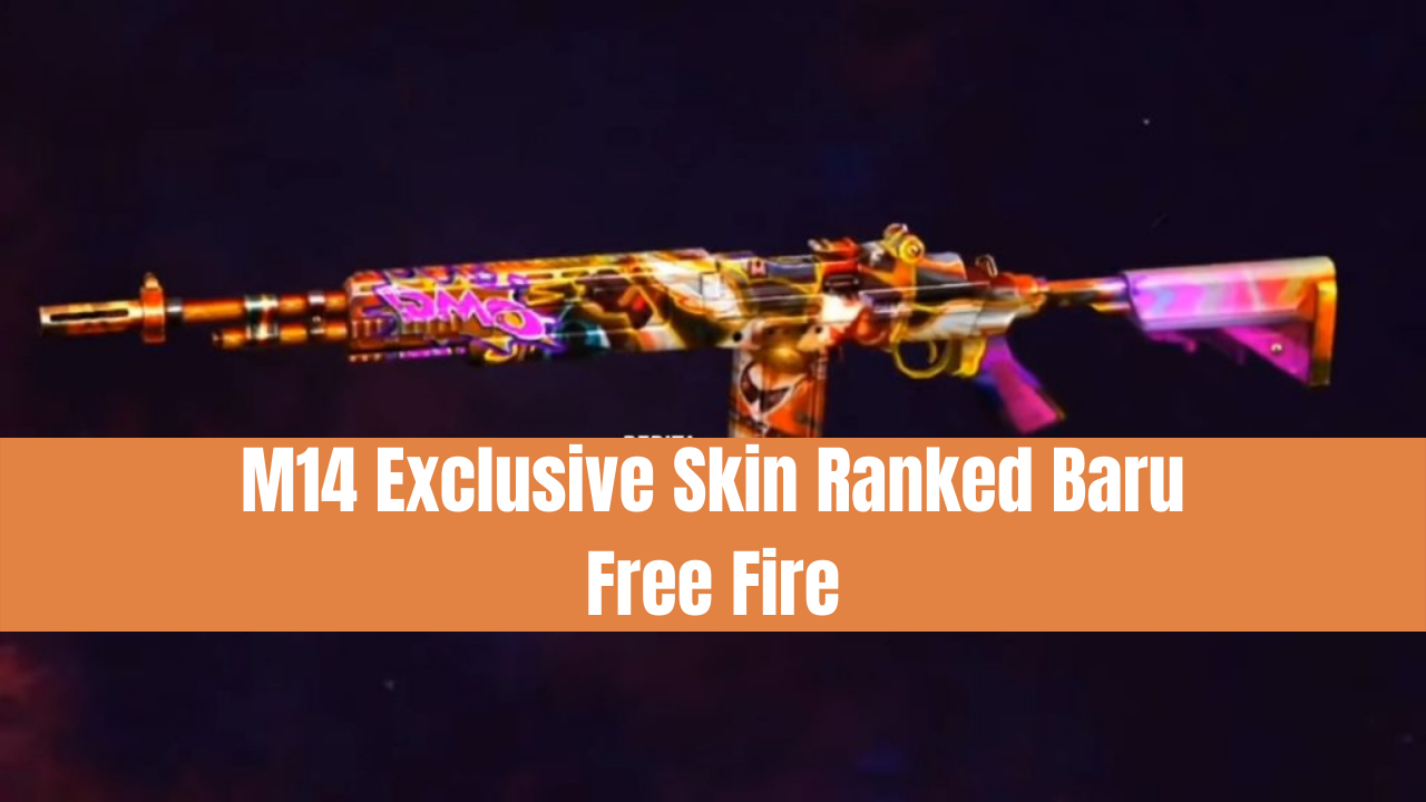 M14-Exclusive-Skin-Ranked