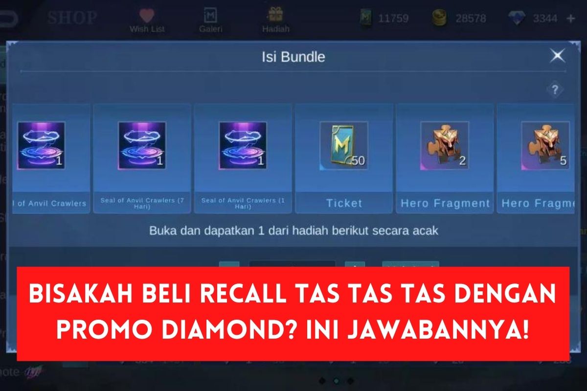 Bisakah Beli Recall Tas Tas Tas Dengan Promo Diamond? Ini Jawabannya!