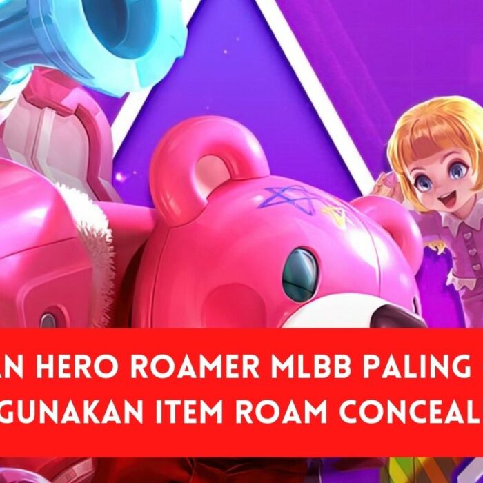 Hero Roamer Conceal