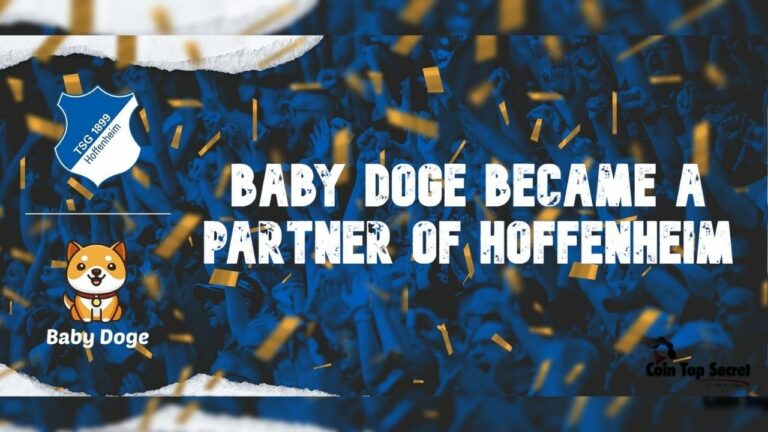 Baby Doge Hoffenheim NFT