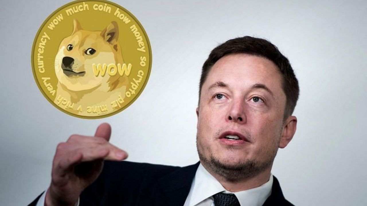 Elon Musk Twitter Dogecoin