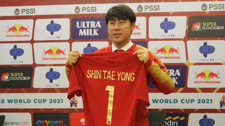 Shin Tae-yong Metaverse
