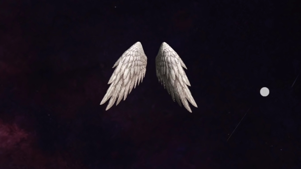 Wings pack