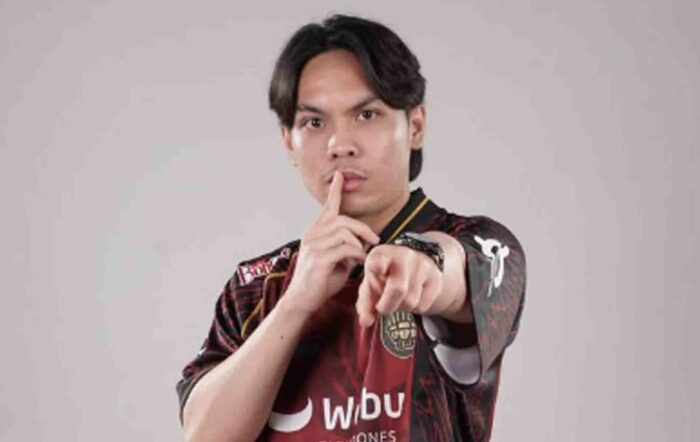 AE Decoy