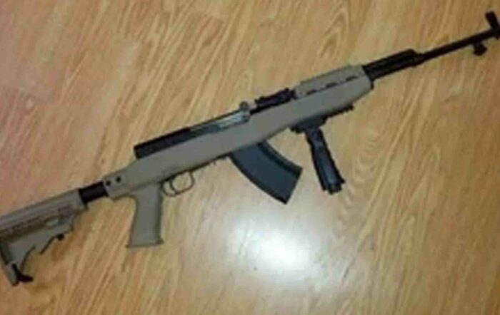 Senjata DMR