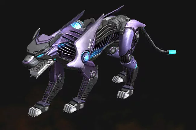 Night Panther