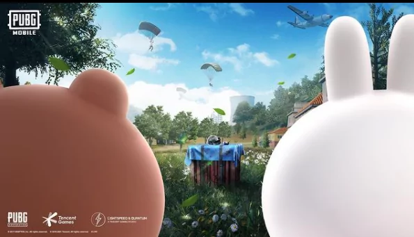 PUBG Brown Cony