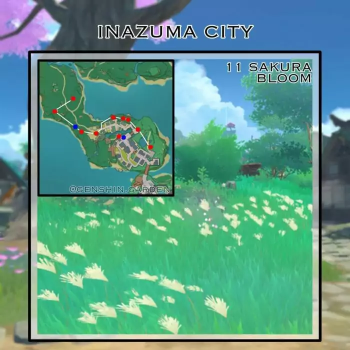 6 Lokasi Terbaik Untuk Farming Sakura Bloom Di Genshin Impact