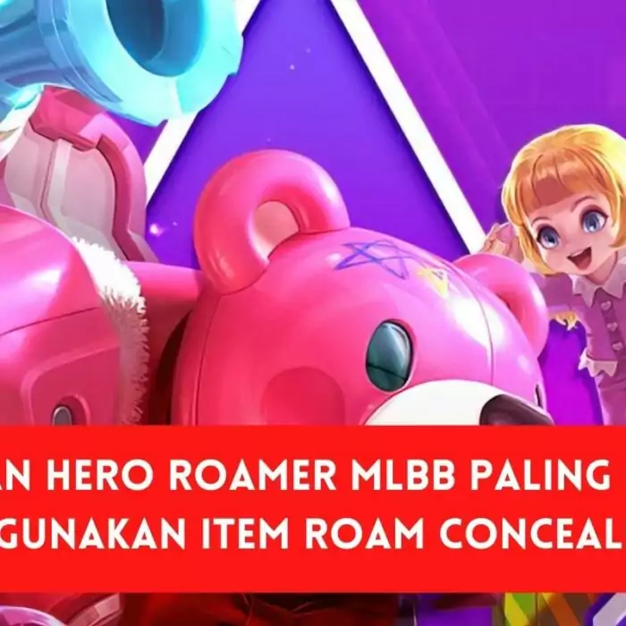 Hero Roamer Conceal