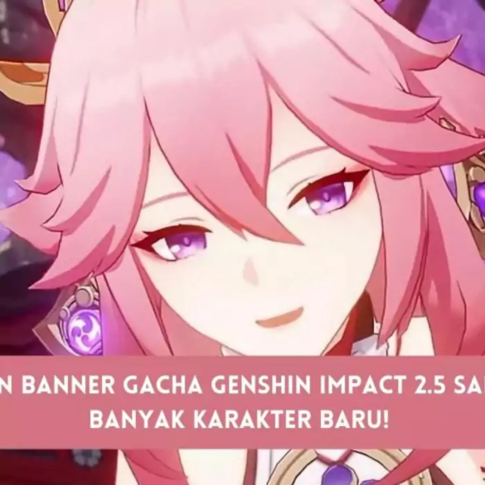 Banner Genshin Impact 2.5