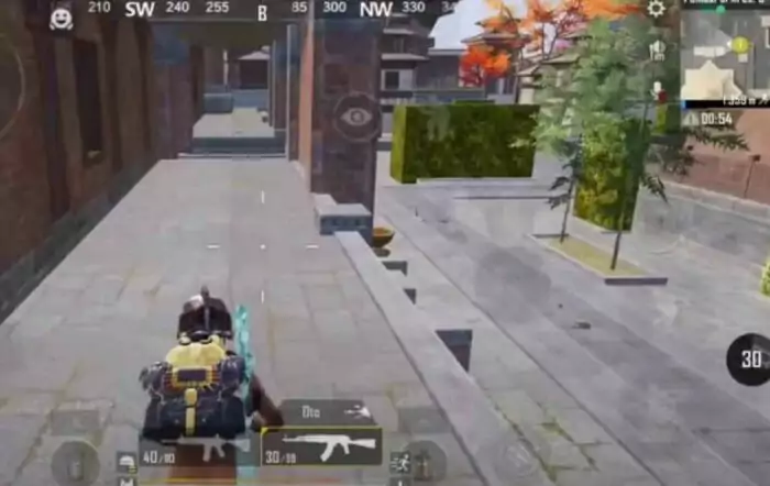 Pro Player PUBG Mobile